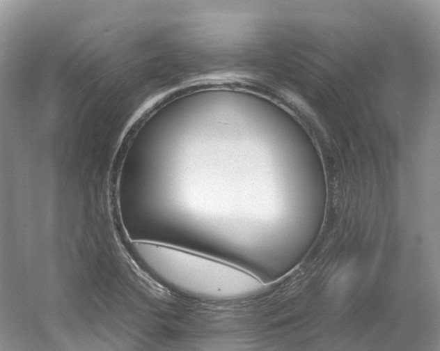 X0000061721412200512021030
