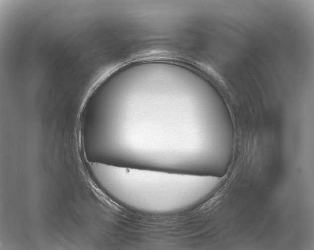 X0000061721413200512021030