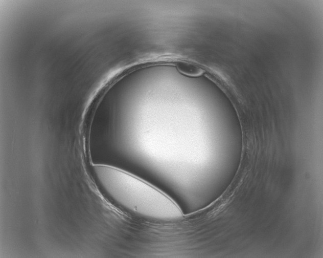 X0000061721414200512021030