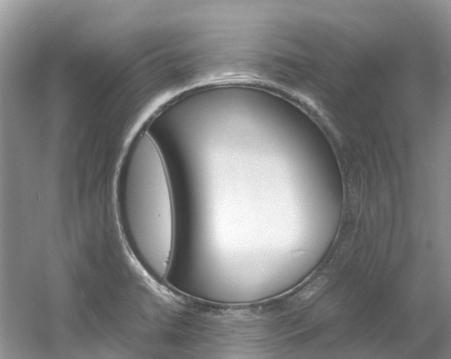 X0000061721422200512021030