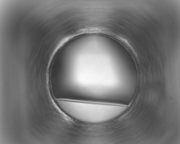 X0000061721424200512021030