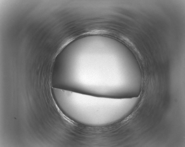 X0000061721425200512021030