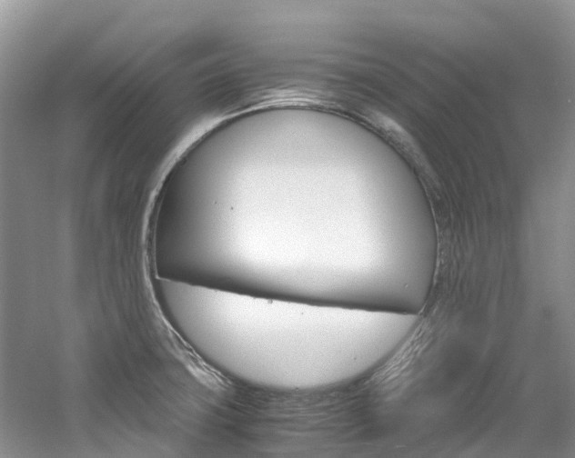 X0000061721427200512021030
