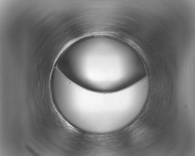 X0000061721428200512021030