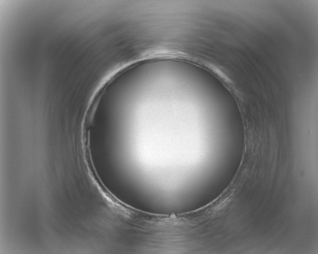 X0000061721430200512021030