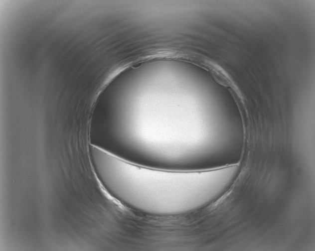 X0000061721433200512021030