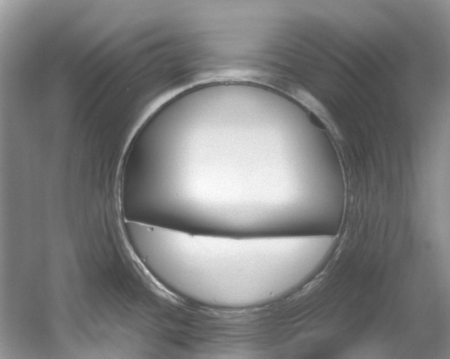 X0000061721436200512021030