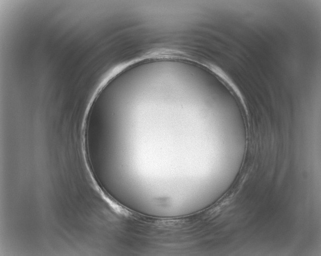 X0000061721437200512021030