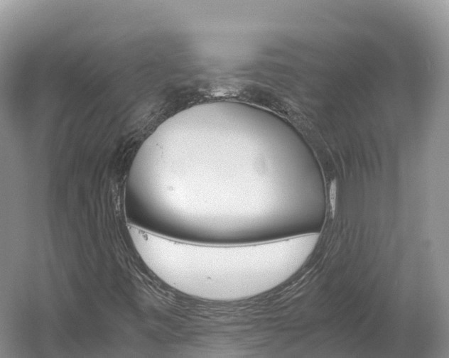 X0000061721443200512021030