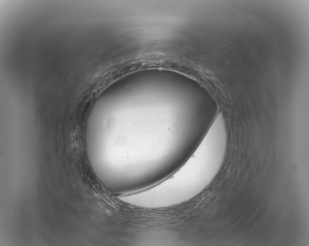 X0000061721445200512021030