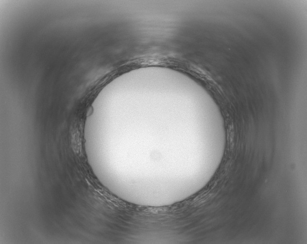 X0000061721446200512021030