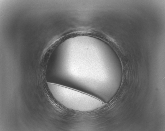 X0000061721448200512021029