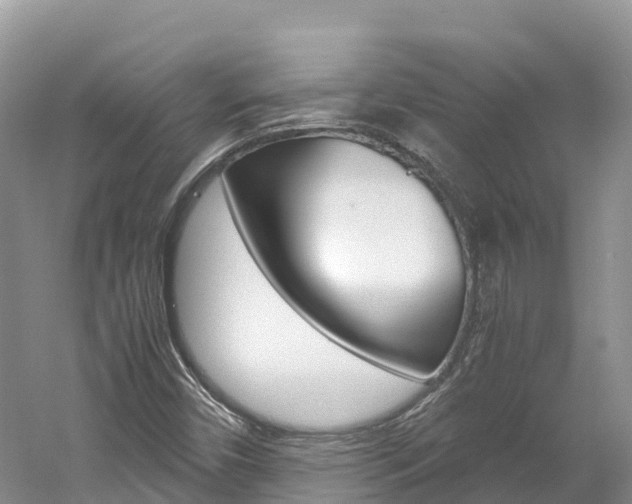 X0000061721450200512021029