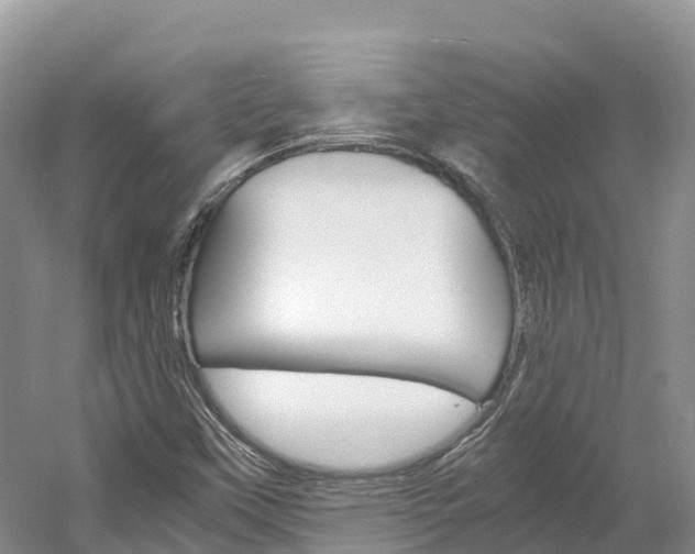 X0000061721451200512021029