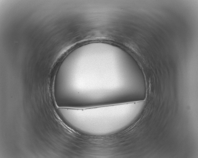 X0000061721452200512021029