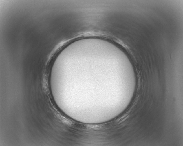 X0000061721454200512021029