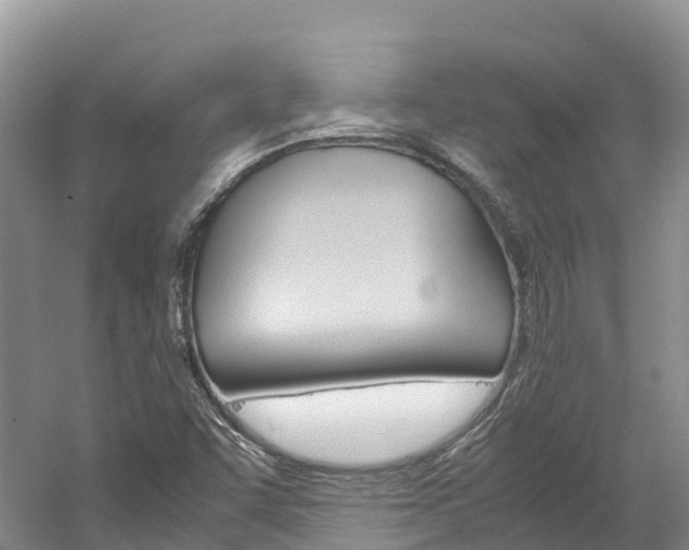 X0000061721455200512021029