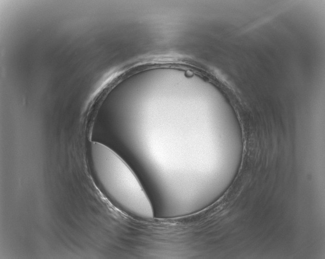 X0000061721456200512021029