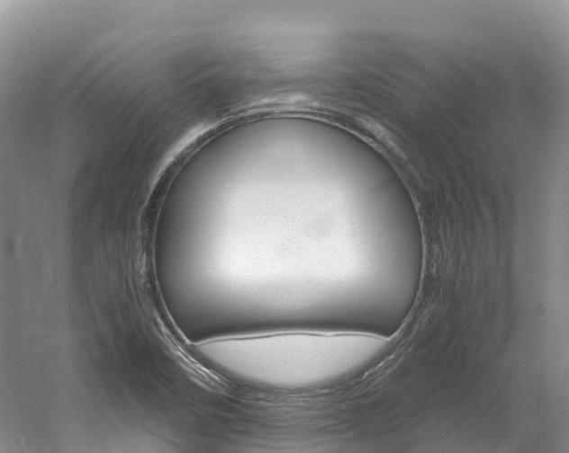 X0000061721458200512021029
