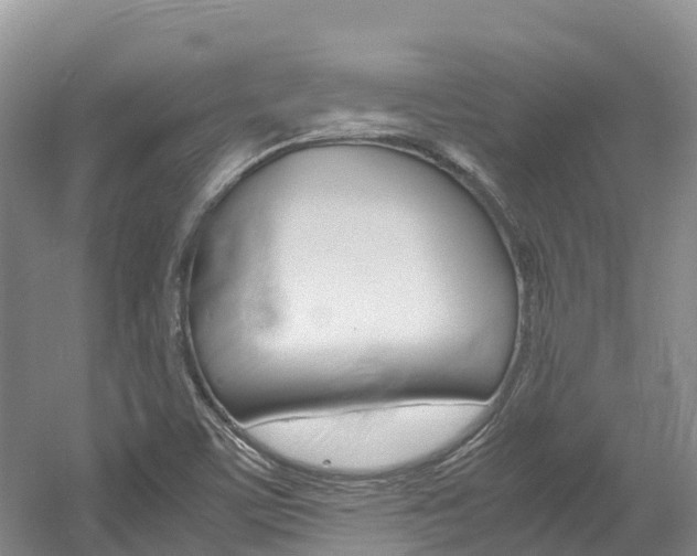 X0000061721459200512021029