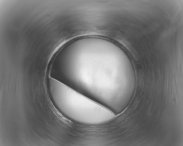 X0000061721460200512021029