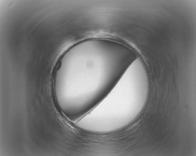 X0000061721463200512021029
