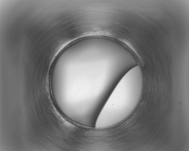 X0000061721468200512021029