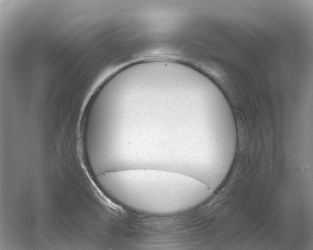 X0000061721470200512021029