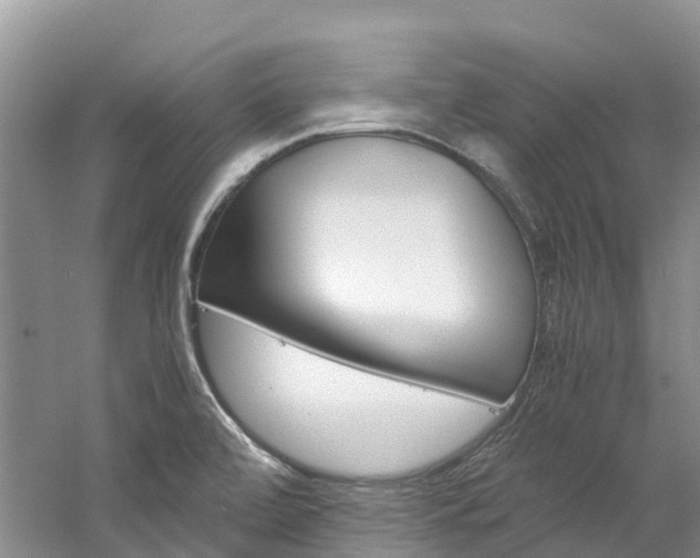 X0000061721472200512021029