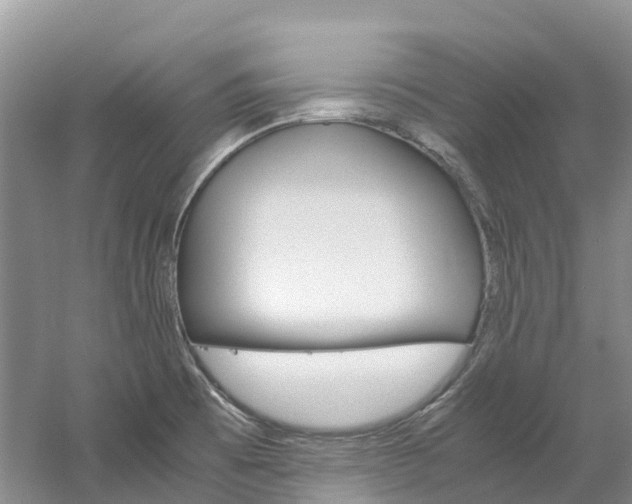 X0000061721473200512021029