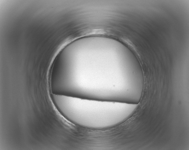 X0000061721475200512021029