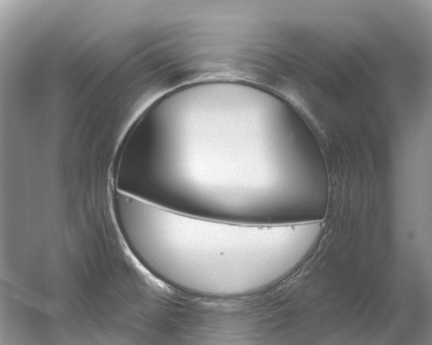 X0000061721476200512021029