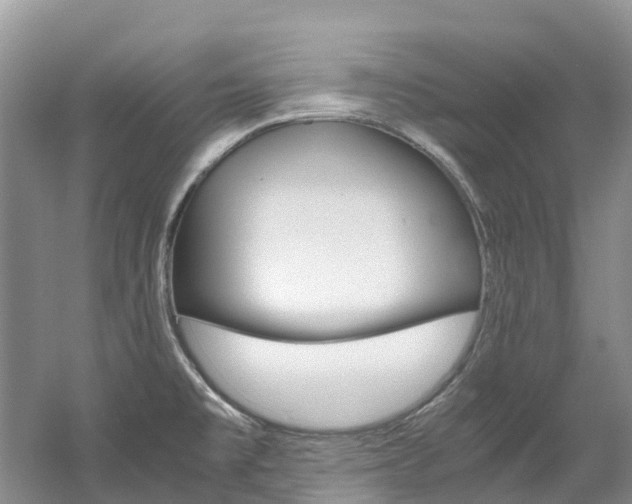 X0000061721477200512021029