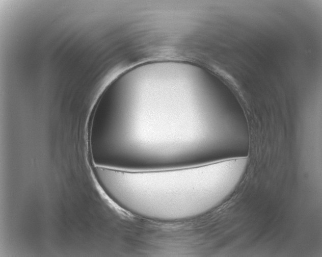 X0000061721479200512021029