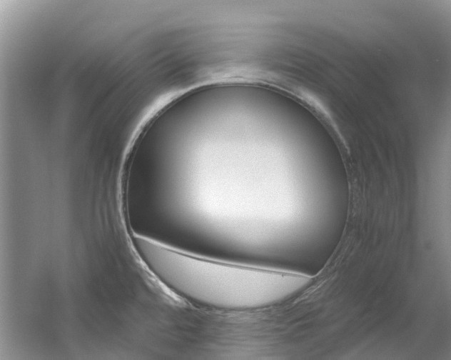 X0000061721480200512021029