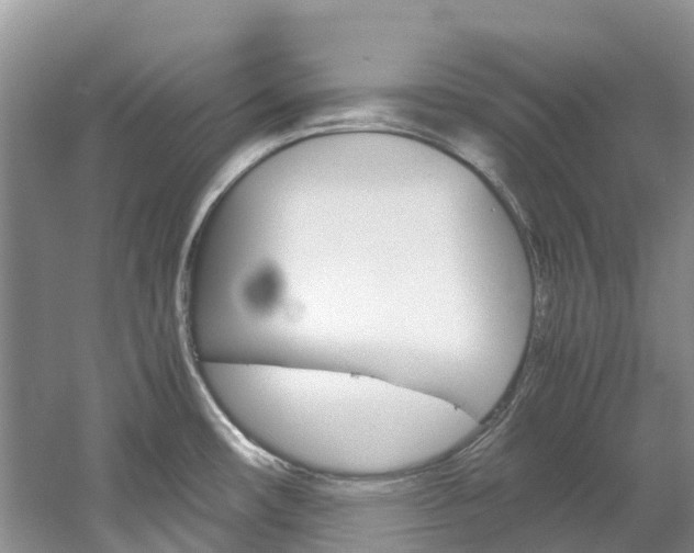 X0000061721482200512021029