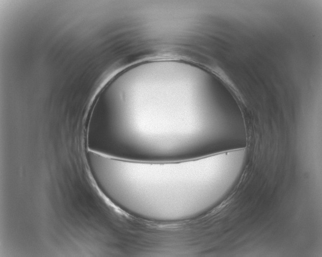 X0000061721484200512021029
