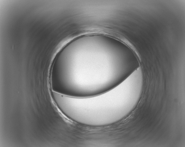 X0000061721485200512021029
