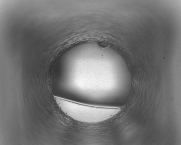 X0000061721490200512021028
