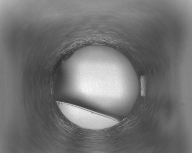 X0000061721491200512021028