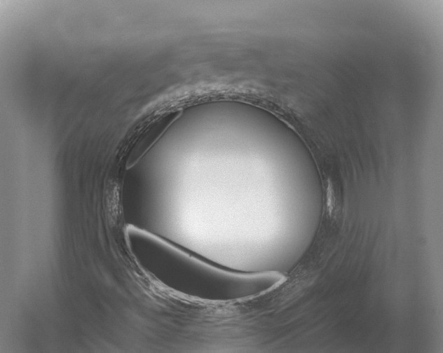 X0000061721492200512021028