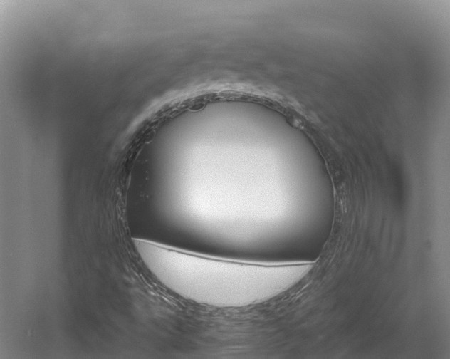 X0000061721495200512021028