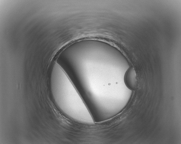 X0000061721497200512021028