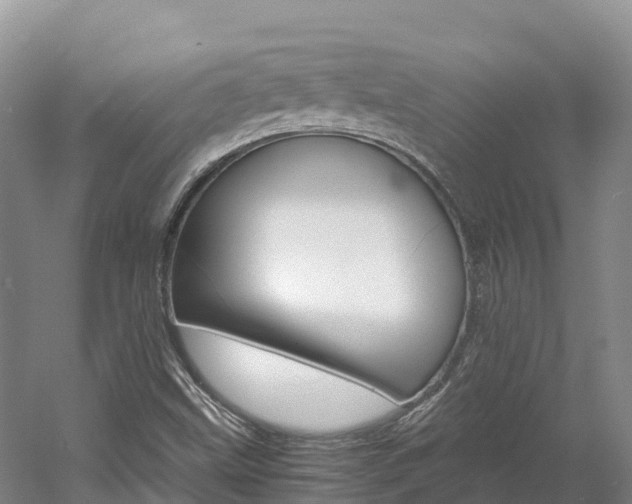 X0000061721499200512021028