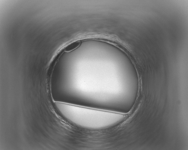 X0000061721501200512021028