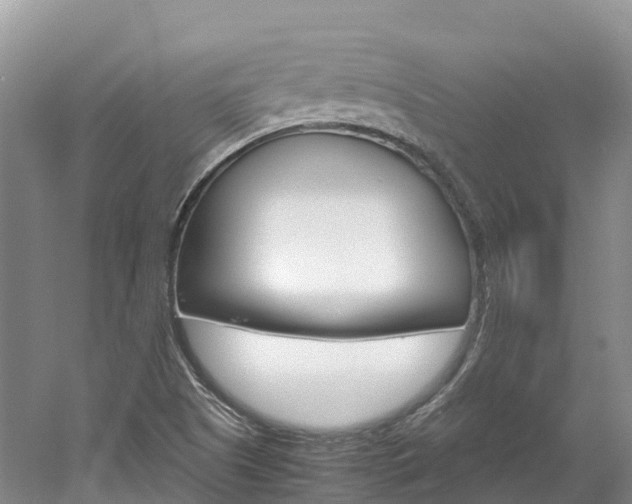 X0000061721505200512021028