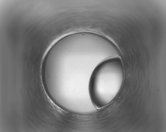 X0000061721508200512021028