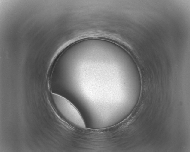X0000061721509200512021028