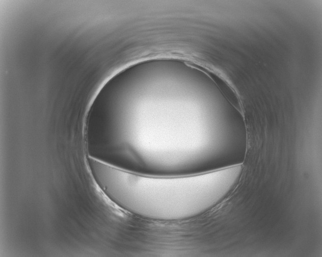 X0000061721532200512021029