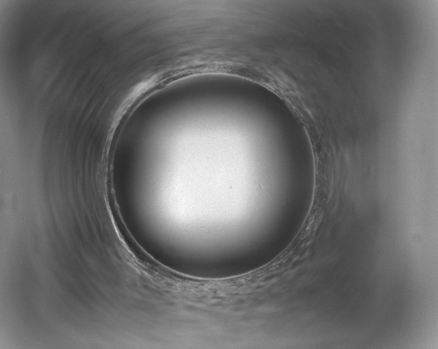 X0000061720003200512021351